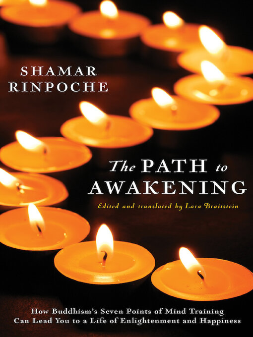 Cover image for The Path to Awakening